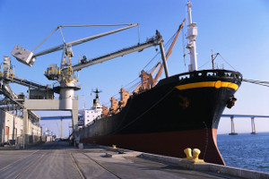 P&I Clubs branches couvertes