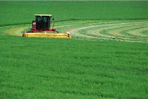 Used with permission from Microsoft