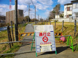 Fukushima nuclear accident