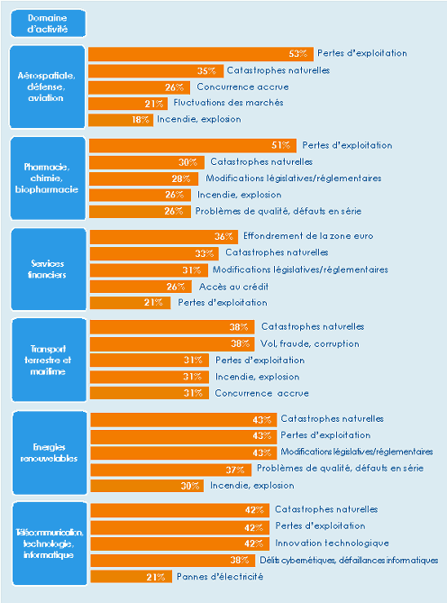 Top risques 2013 par type d activité