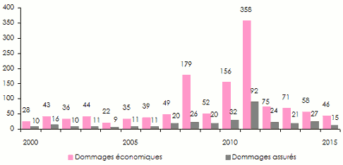 changement climatique dommages économiques