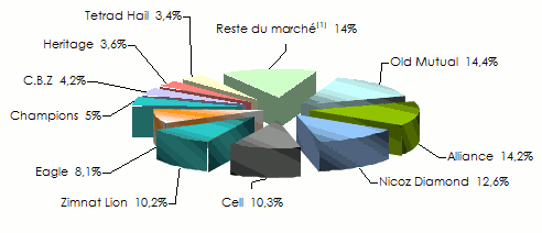 Marche assurance Zimbabwe