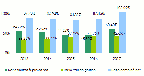 IGI-EAU ratios techniques non vie