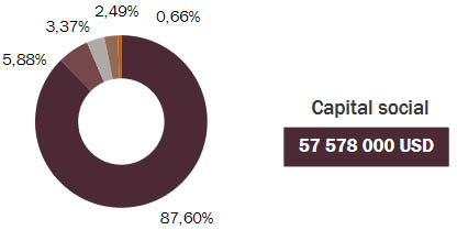 Milli Re capital social