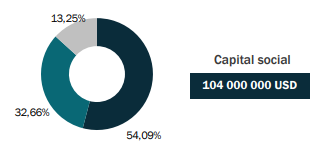 Cica-re-shareholding-2021