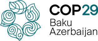 COP29