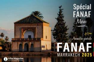 FANAF : palmarès Atlas Magazine 2025