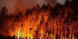 Southern Europe  fires