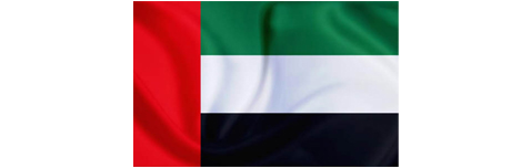 UAE flag